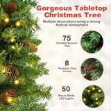 25 Inch Pre-lit Mini Tabletop Christmas Tree with 50 LED Lights