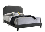 Tamarac Upholstered Bed