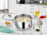 Saflon Stainless Steel Stock Pot with Glass Lid