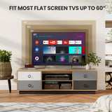 Modern 55 Inch TV Stand with 2 Storage Cabinets for Tvs up to 60 Inch