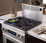 DR30DHNG 30 Inch Pro-Style Freestanding Dual-Fuel Range with 4 Sealed/Simmer Burners