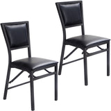 Set of 2 Metal Folding Dining Chair with Padded Seats for Small Room